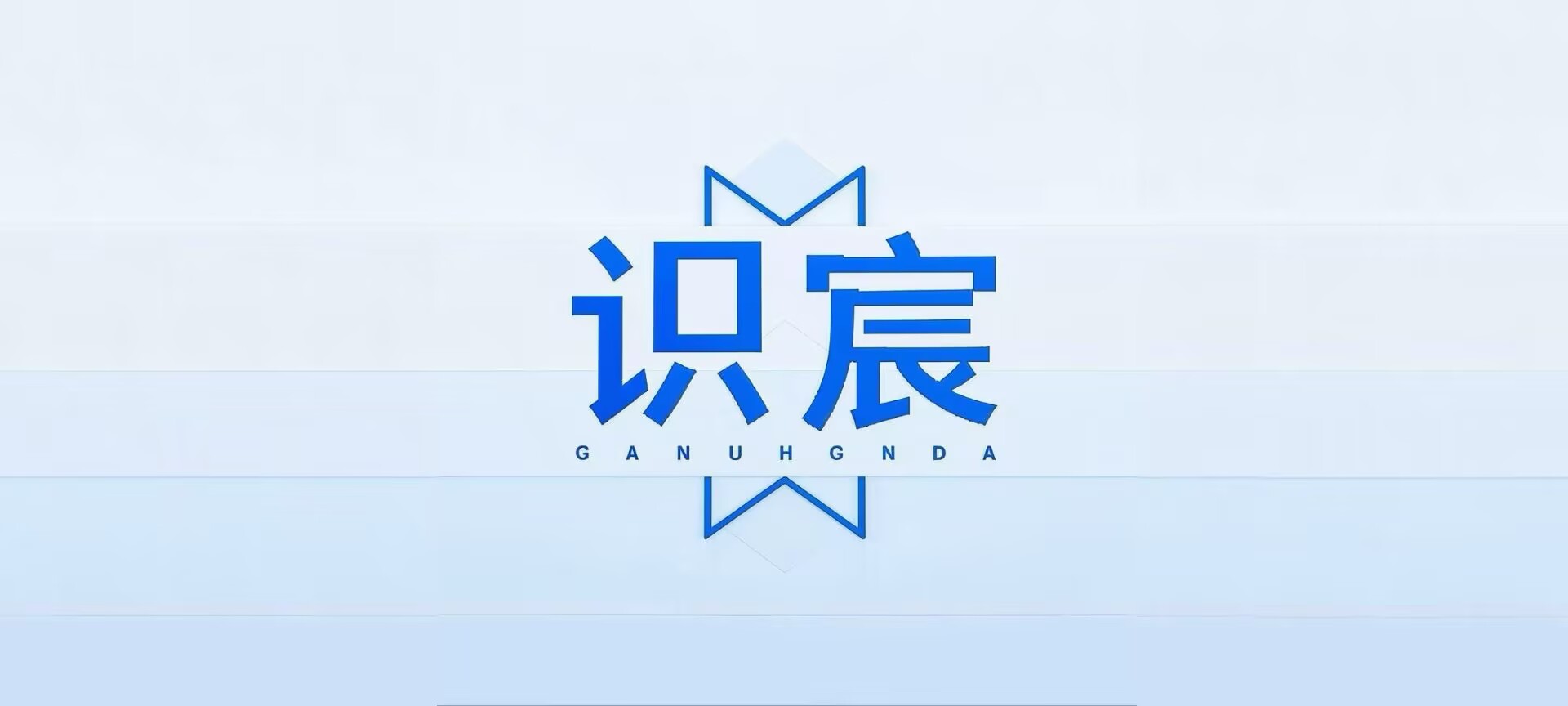 上海识宸贸易有限公司